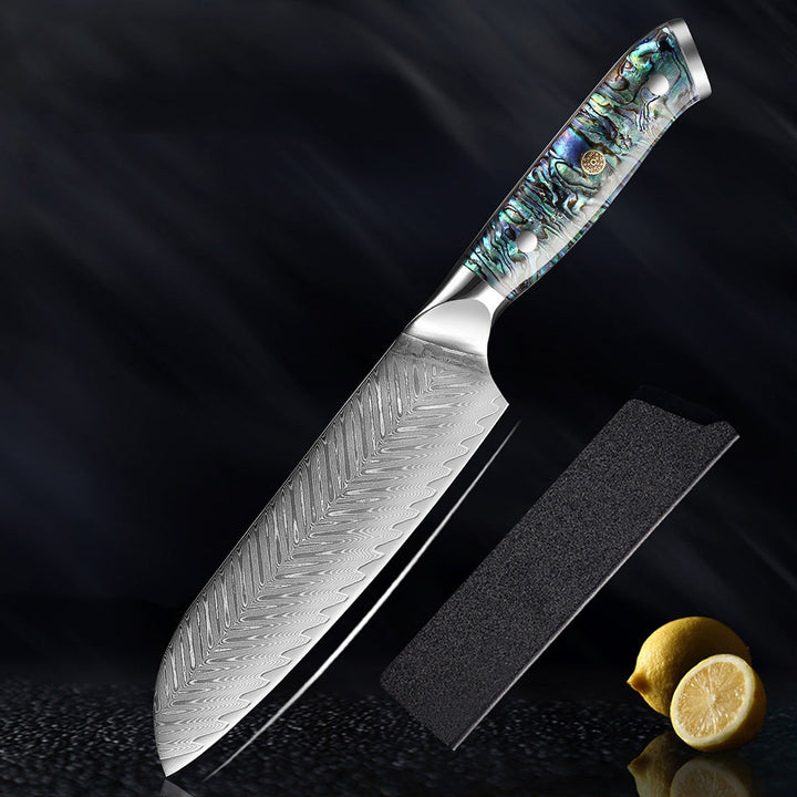 Okugai (おくがい) Damascus Steel Kitchen Knife with Abalone Handle